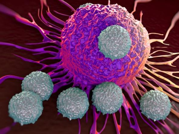 Tumore al colon, individuata proteina "bersaglio" per combattere il cancro