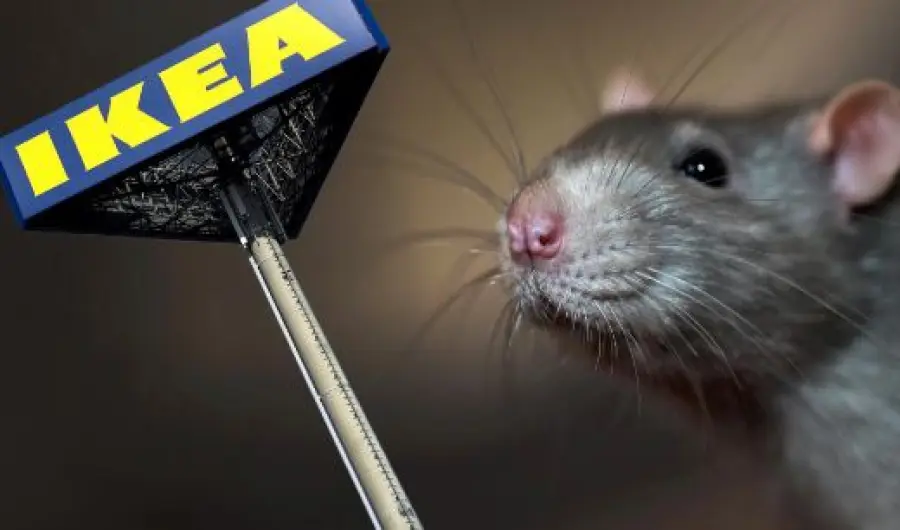 Topi nelle caramelle, Ikea ritira dal mercato i marshmallows Godis