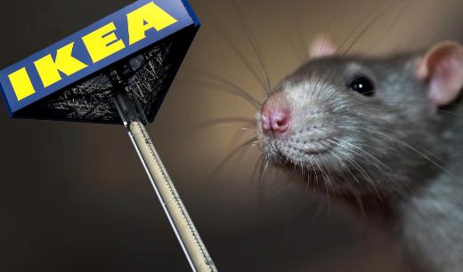 Topi nelle caramelle, Ikea ritira dal mercato i marshmallows Godis