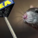 Topi nelle caramelle, Ikea ritira dal mercato i marshmallows Godis