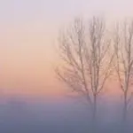 Inquinamento, se c'è nebbia è ancora più nocivo