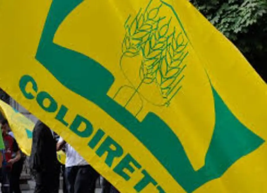 Coldiretti e la Blacklist: 11 prodotti "fake" che gli italiani acquistano