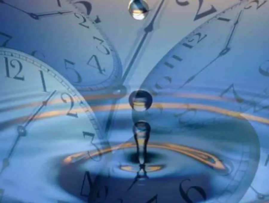 Cosa sono spazio e tempo? Parola di Carlo Rovelli e Giorgio Vallortigara