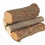 Creato dal legno un materiale più resistente dell’acciaio