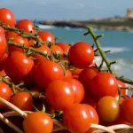 Pomodoro Pachino? Grazie alle importazioni, il prodotto siciliano è stato declassato dall'UE