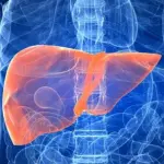 Metroticket: ecco l'algoritmo in grado di stabilire l'esito di un trapianto