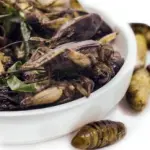 Insetti a tavola, cosa ci aspetta???