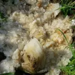 Rifiuti aerei scambiati per oggetti extra terrestri, caos in India