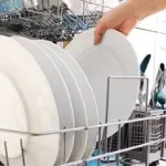 Lavastoviglie, covo di funghi e batteri. Conseguenza per la salute?