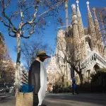 Pinguini avvistati in giro per il mondo, cosa significa