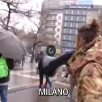 Milano, Vittorio Brumotti di Striscia la Notizia preso a sassate: perché?