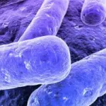 Trapianto di feci : scoperta sensazionale della scienza