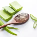 Naturopata condannato per cura obesità con aloe vera