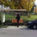 Lupo ucciso a Rimini, indagato un pastore sardo