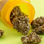 Fumare marijuana migliora il sesso e lo stile di vita?