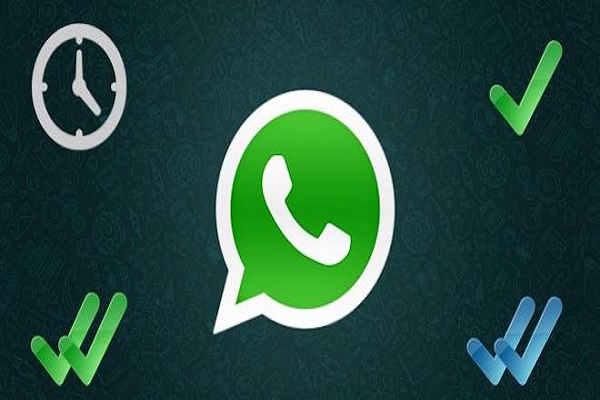 WhatsApp nuovo aggiornamento, arriva la spunta verde per le aziende