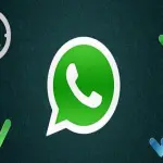 WhatsApp nuovo aggiornamento, arriva la spunta verde per le aziende