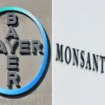 Fusione Bayer-Monsanto bloccata da UE