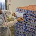 Uova al Fipronil arrivate anche in Italia