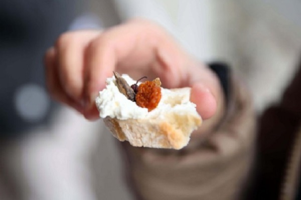 Insetti commestibili in vendita alla Coop Svizzera