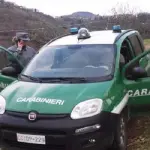 Militarizzazione Corpo Forestale dello Stato, il Tar ricorre alla Consulta