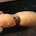 Ritrova anello di fidanzamento 13 anni dopo grazie a una carota
