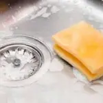 Mappato Dna spugne da cucina: peggio delle feci