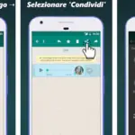 WhatsApp, ora è possibile convertire messaggi audio in testo con un'app