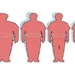 Obesità, gene brucia grassi trasforma il grasso in calore
