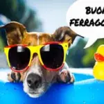 Buon Ferragosto 2017: auguri immagini e frasi divertenti WhatsApp