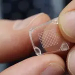 Vaccini, arriva dagli Usa un nuovo cerotto per evitare le punture