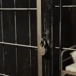 Nepal, scarcerato il serial killer Sobhraj: ha ispirato la serie 