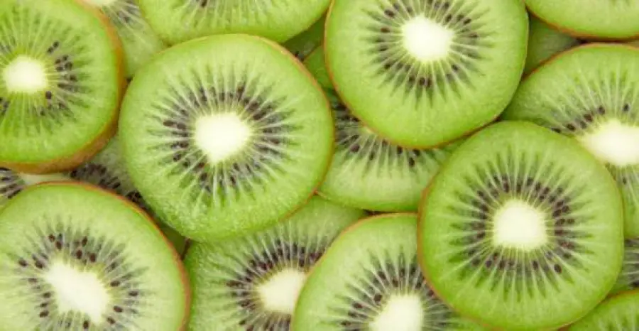 Scoperto il Kiwi "Green angel", la nuova varietà resistente a cancro e batteri