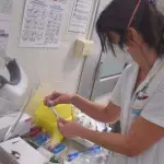Puglia, allarme meningite: bambina di 8 anni terza vittima in poche ore