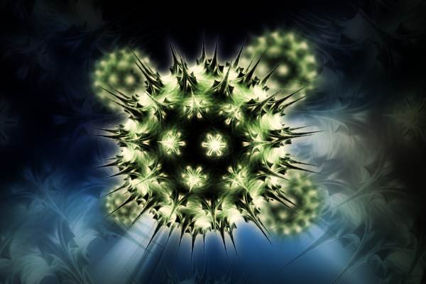 Vaccino contro il papilloma virus anche per i maschi