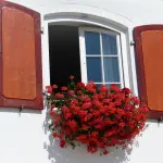 Come migliorare la qualità dell’aria in casa: soluzioni efficaci e interventi mirati