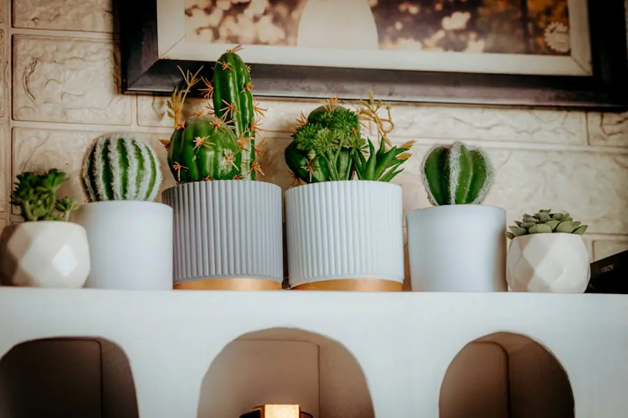 Come scegliere il vaso giusto per ogni pianta