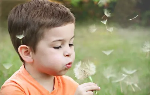 Allergie polline rimedi: guida pratica 2026