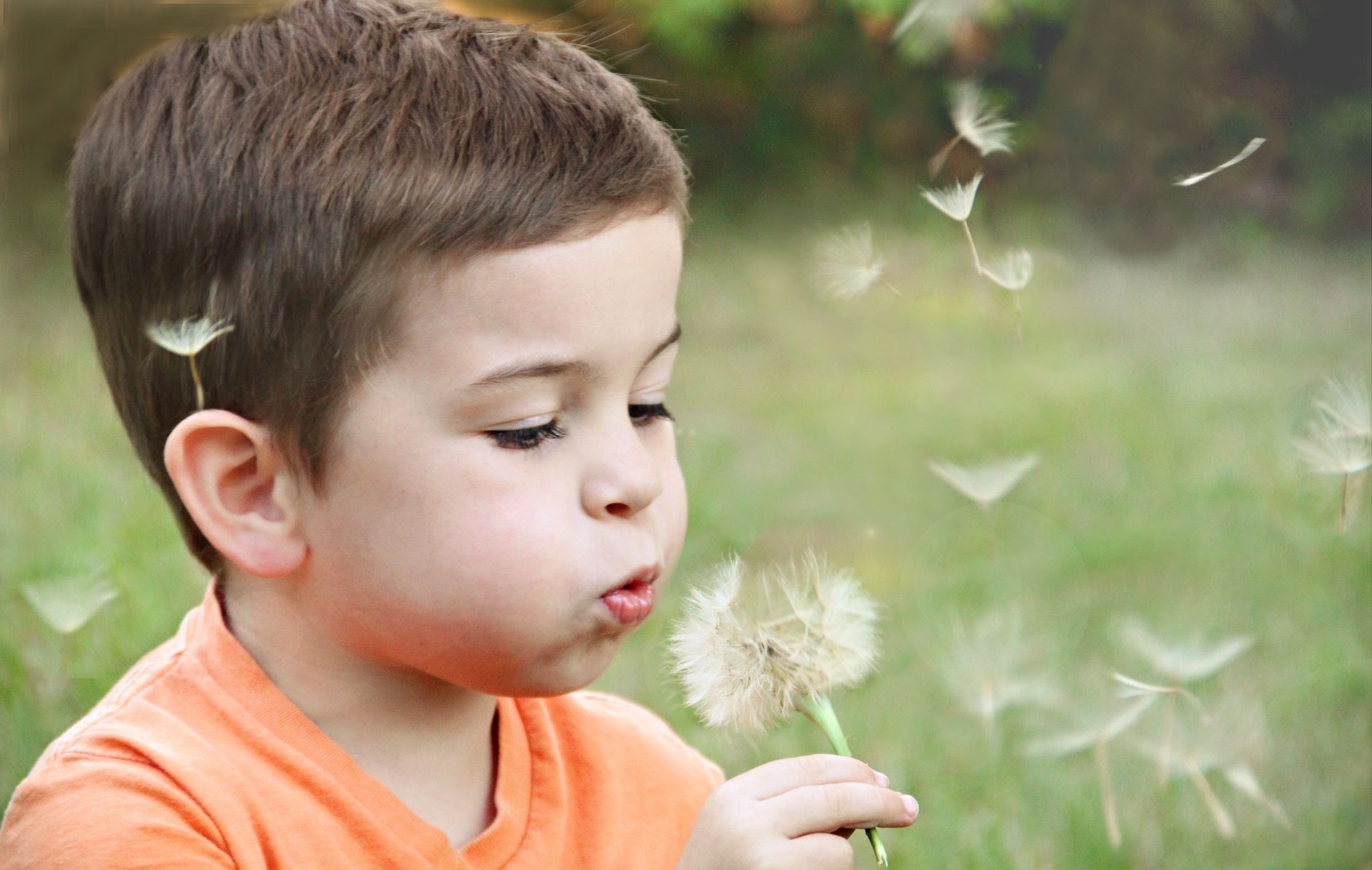 Allergie polline rimedi: guida pratica 2026
