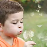 Allergie polline rimedi: guida pratica 2026
