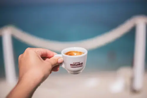 Alternative al caffè: orzo, cicoria e altri surrogati