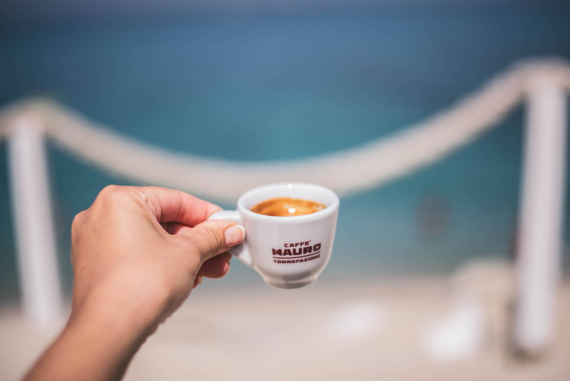 Alternative al caffè: orzo, cicoria e altri surrogati