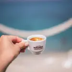 Alternative al caffè: orzo, cicoria e altri surrogati