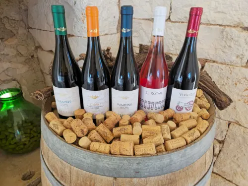 Riconoscere un buon vino dalla bottiglia