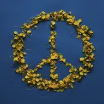 Eurovision 2022: l'Ucraina sarà squalificata per un messaggio politico nella sua canzone?