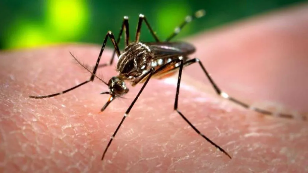Allarme a Monza per il virus Zika, attivate le procedure territoriali per il rischio da malattie infettive