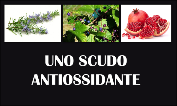 frutta antiossidante per il corpo