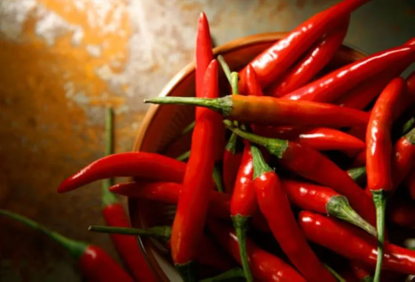 Il peperoncino riduce lo stress e fa bene al cuore: ecco perché allunga la vita