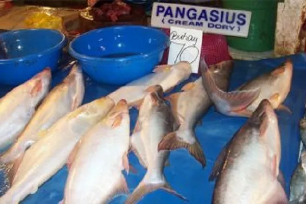 Pangasio ritirato dal mercato: il pesce allevato in acque inquinate