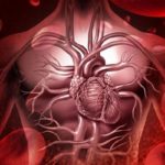 Riskometer l’app che calcola il rischio di ictus e infarto: come funziona?
